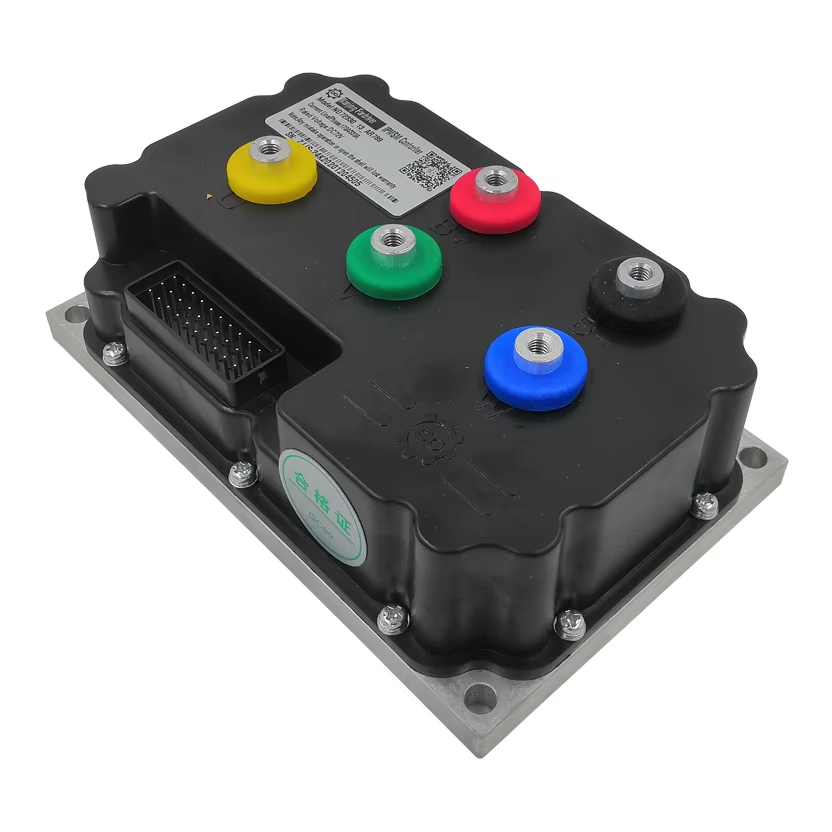 QS273 13 Inch 8000W 72V 120KMH - Qs273 Hub Motor 8000W 72V 评论和价格